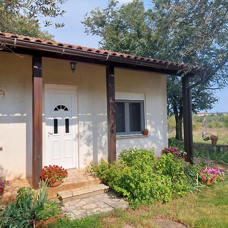 Apartment Marijana Murine Dış mekan fotoğraf