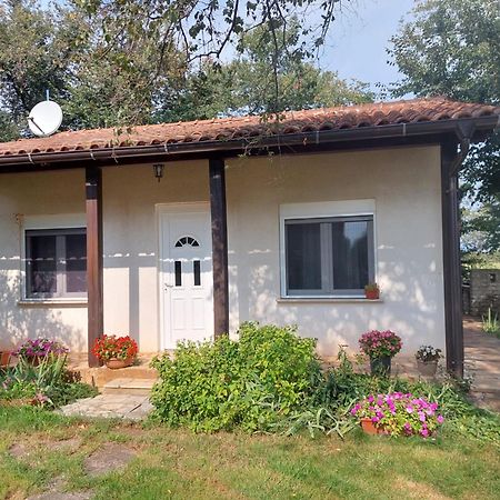Apartment Marijana Murine Dış mekan fotoğraf