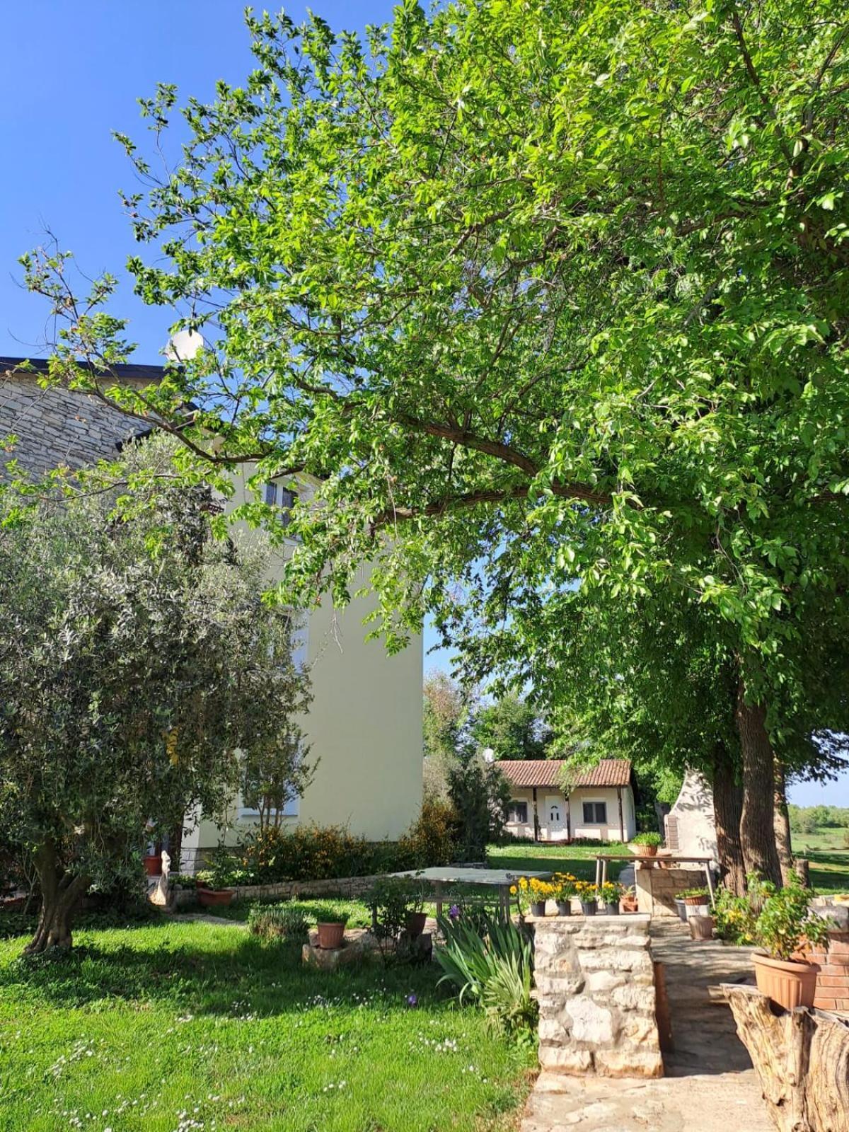 Apartment Marijana Murine Dış mekan fotoğraf